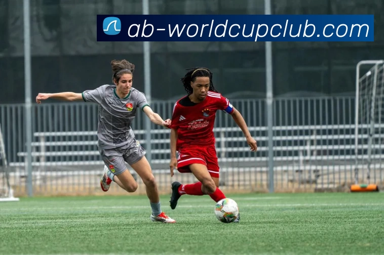 世界杯规则平台生态图